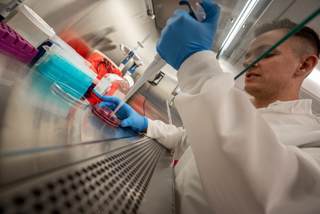 A student performing stem cell research (Photo by Chris Shinn)